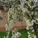 Apartment Limonade Ac Agard Elmenyfuerdo Mellett Gardony