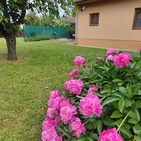 Apartamento Limonádé Ac Agárd élményfürdő Mellett *