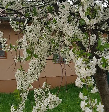 Apartment Limonade Ac Agard Elmenyfuerdo Mellett Gárdony