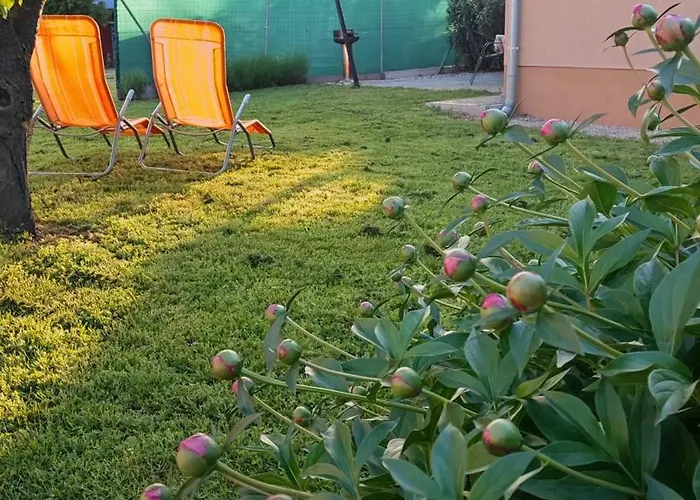 Limonádé Ac Agárd élményfürdő Mellett * Gárdony